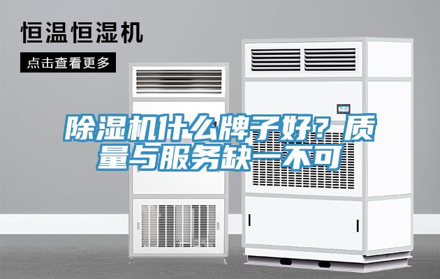 猫咪成人官网什么牌子好？质量与服务缺一不可