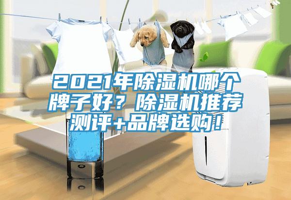 2021年猫咪成人官网哪个牌子好？猫咪成人官网推荐测评+品牌选购！