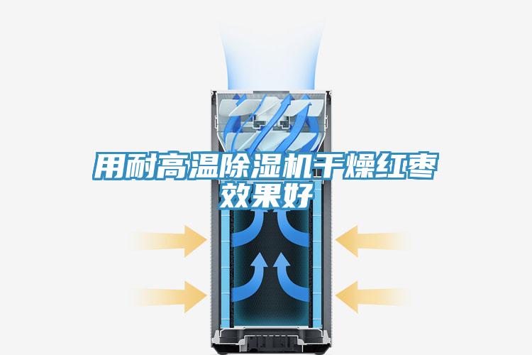 用耐高温猫咪成人官网干燥红枣效果好