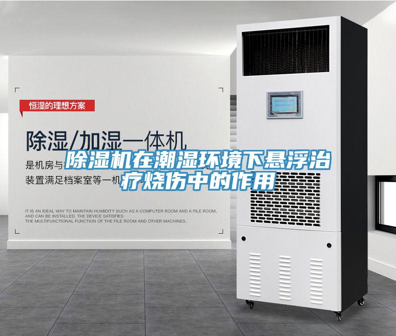 猫咪成人官网在潮湿环境下悬浮治疗烧伤中的作用