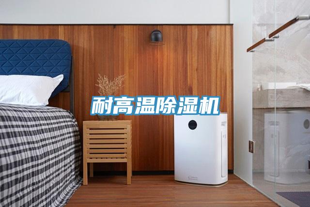 耐高温猫咪成人官网