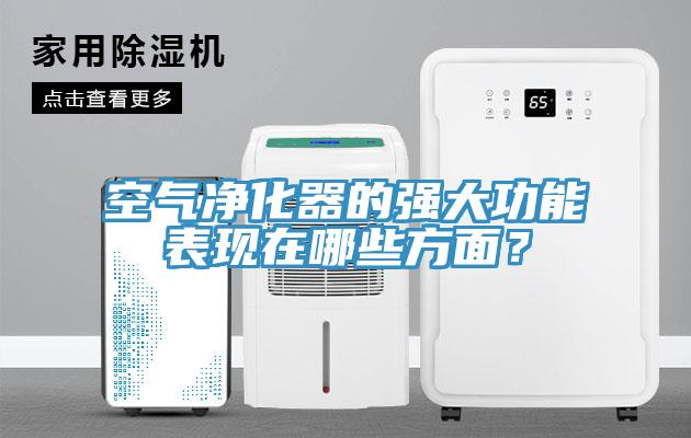 空气净化器的强大功能表现在哪些方面？