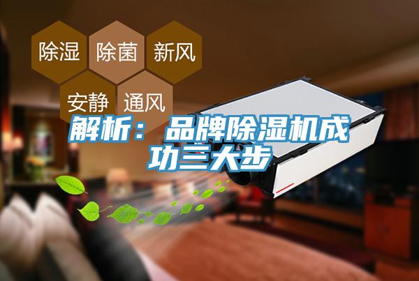 解析：品牌猫咪成人官网成功三大步