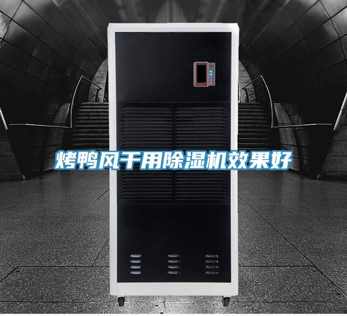 烤鸭风干用猫咪成人官网效果好