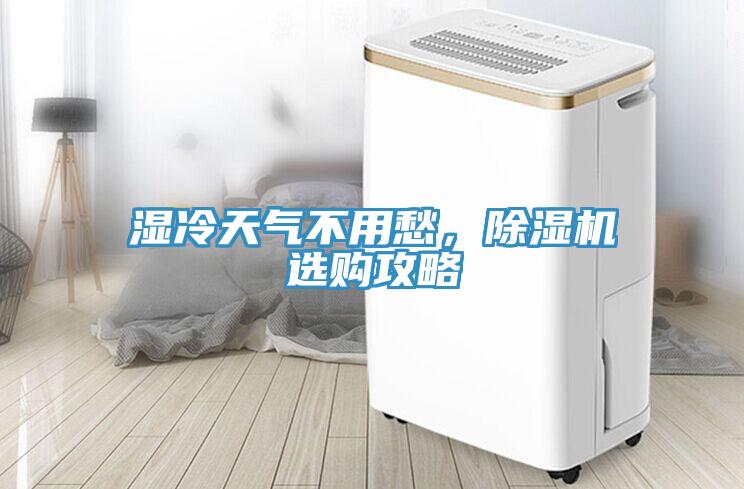 湿冷天气不用愁，猫咪成人官网选购攻略