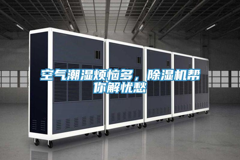 空气潮湿烦恼多，猫咪成人官网帮你解忧愁
