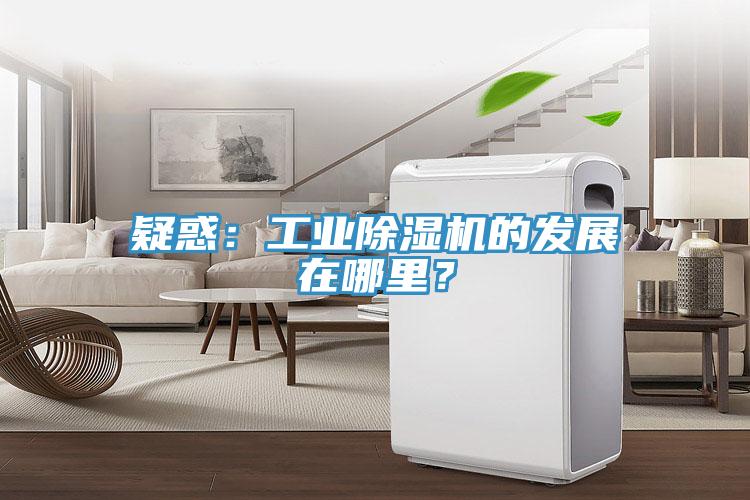 疑惑：工业猫咪成人官网的发展在哪里？