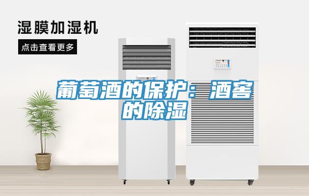 葡萄酒的保护：酒窖的除湿
