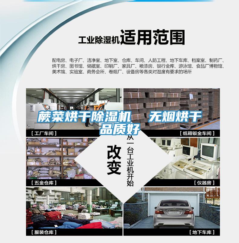 蕨菜烘干猫咪成人官网  无烟烘干品质好