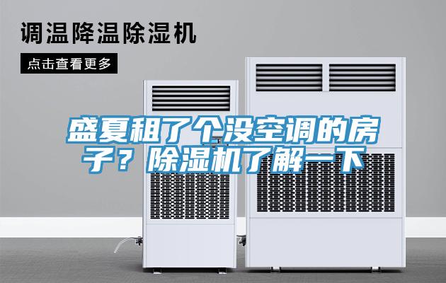 盛夏租了个没空调的房子？猫咪成人官网了解一下