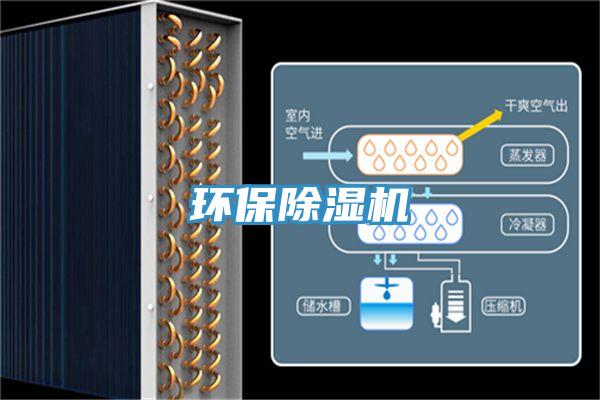 环保猫咪成人官网