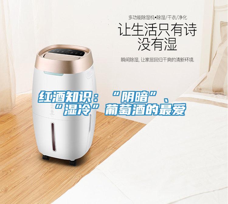 红酒知识：“阴暗”、“湿冷”葡萄酒的最爱
