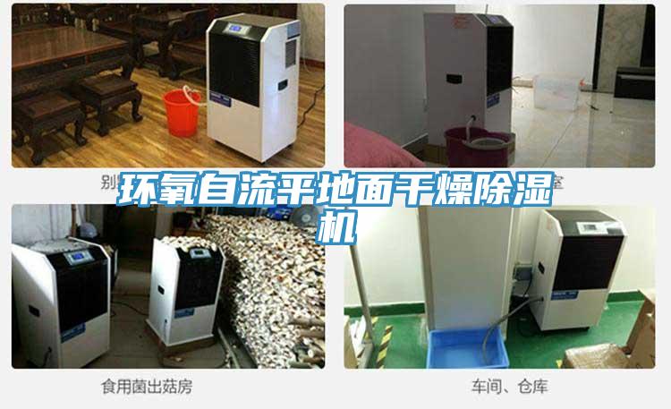 环氧自流平地面干燥猫咪成人官网