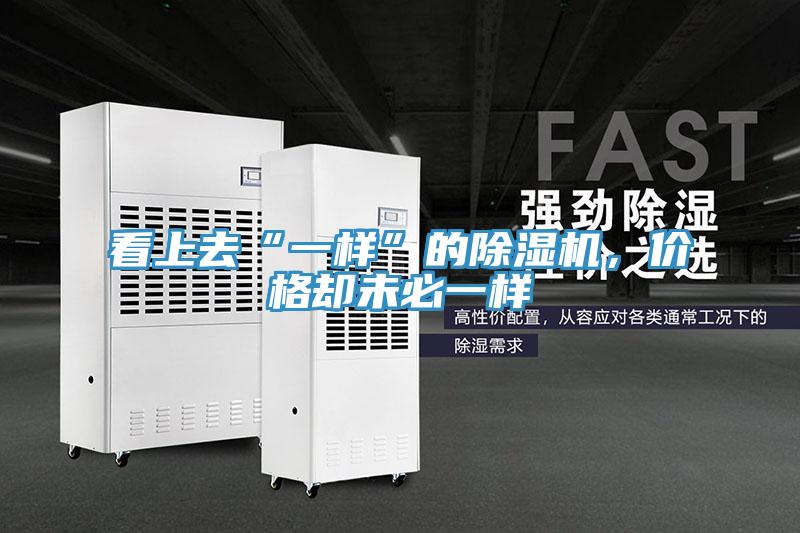 看上去“一样”的猫咪成人官网，价格却未必一样