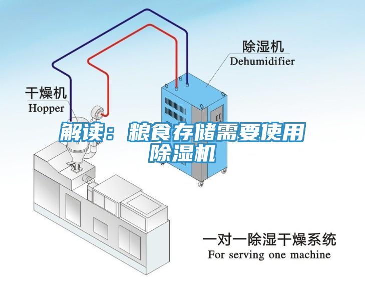 解读：粮食存储需要使用猫咪成人官网