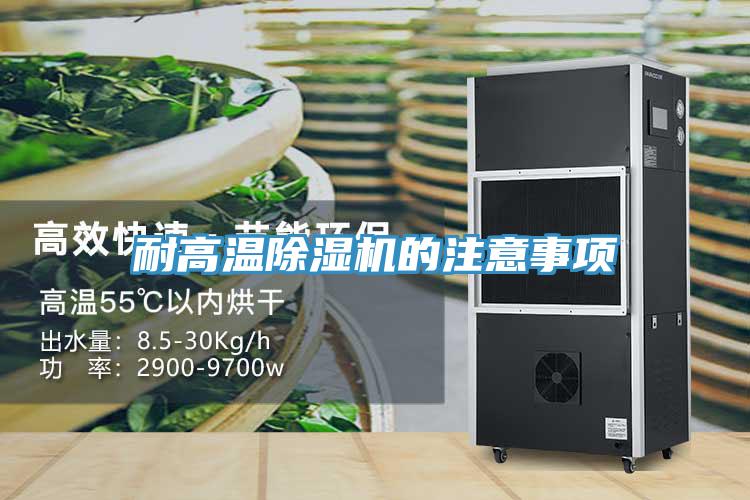 耐高温猫咪成人官网的注意事项