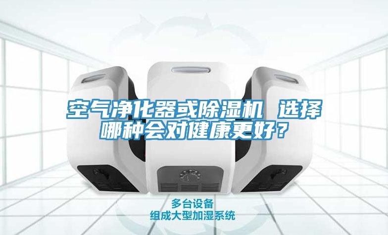 空气净化器或猫咪成人官网 选择哪种会对健康更好？