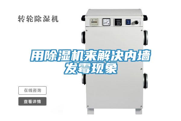 用猫咪成人官网来解决内墙发霉现象