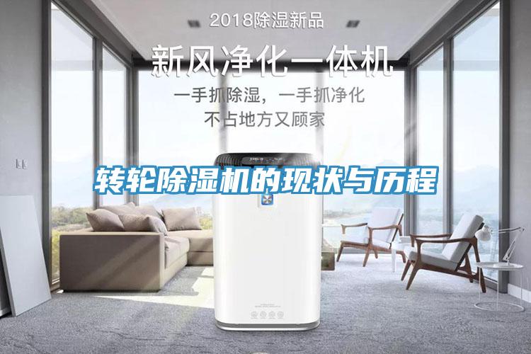 转轮猫咪成人官网的现状与历程