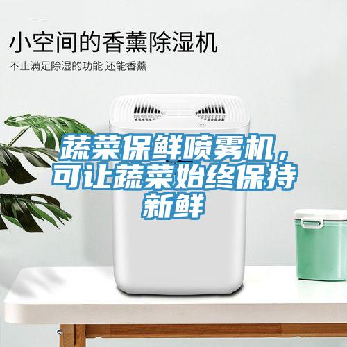 蔬菜保鲜喷雾机，可让蔬菜始终保持新鲜