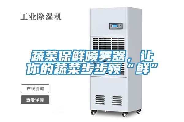 蔬菜保鲜喷雾器，让你的蔬菜步步领“鲜”