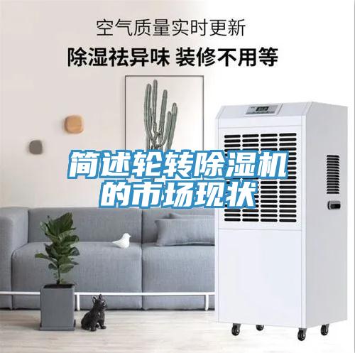 简述轮转猫咪成人官网的市场现状