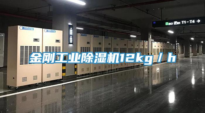 金刚工业猫咪成人官网12kg／h