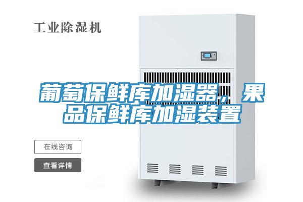 葡萄保鲜库加湿器，果品保鲜库加湿装置