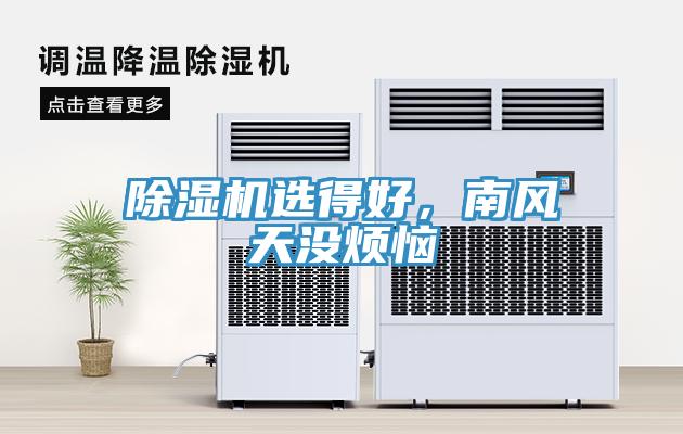 猫咪成人官网选得好，南风天没烦恼