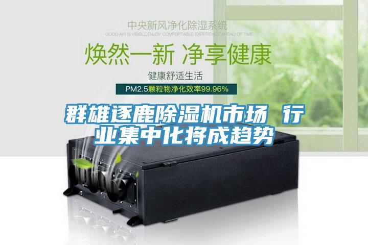 群雄逐鹿猫咪成人官网市场 行业集中化将成趋势