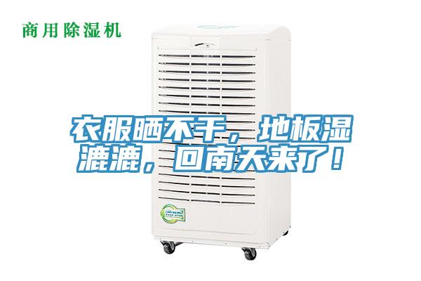 衣服晒不干，地板湿漉漉，回南天来了！