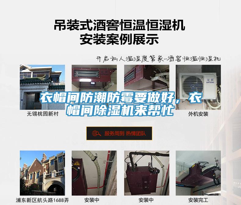 衣帽间防潮防霉要做好，衣帽间猫咪成人官网来帮忙