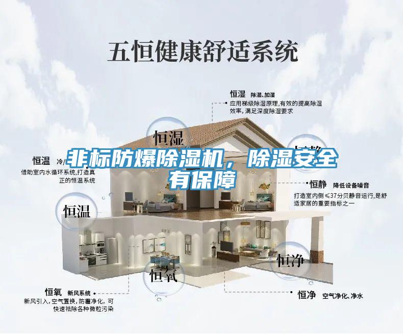 非标防爆猫咪成人官网，除湿安全有保障