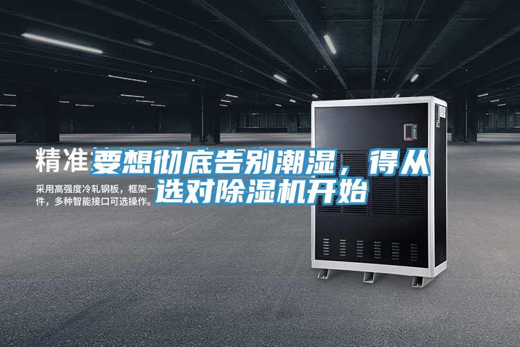 要想彻底告别潮湿，得从选对猫咪成人官网开始