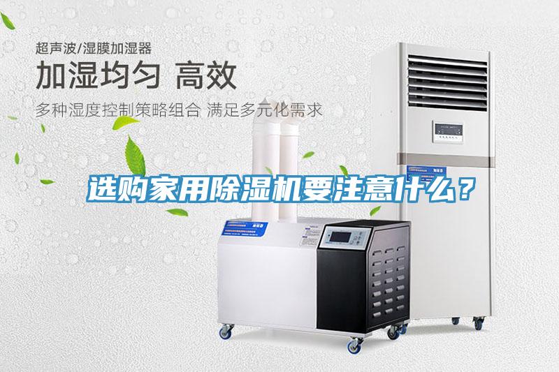 选购家用猫咪成人官网要注意什么？
