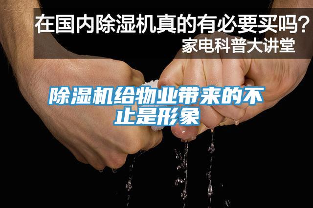 猫咪成人官网给物业带来的不止是形象