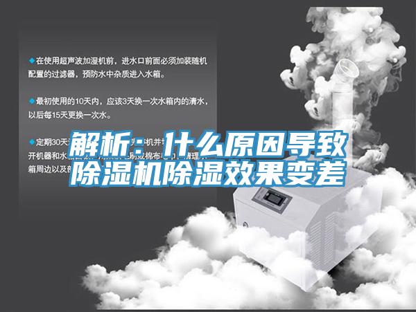 解析：什么原因导致猫咪成人官网除湿效果变差