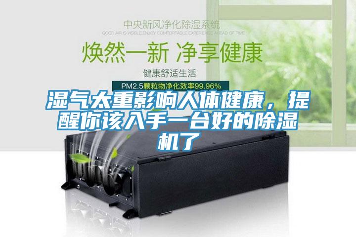 湿气太重影响人体健康，提醒你该入手一台好的猫咪成人官网了
