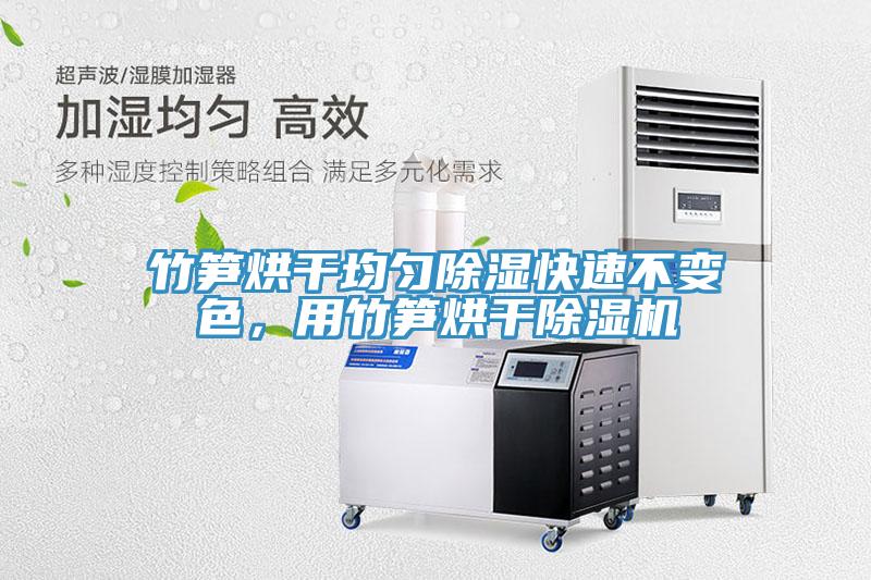 竹笋烘干均匀除湿快速不变色，用竹笋烘干猫咪成人官网