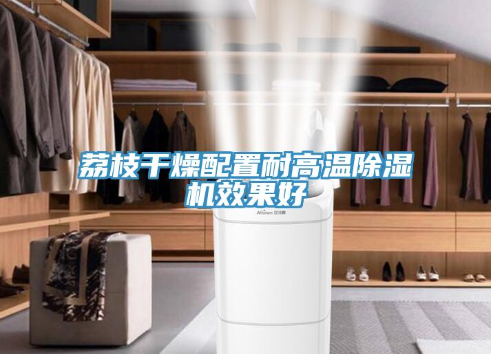 荔枝干燥配置耐高温猫咪成人官网效果好