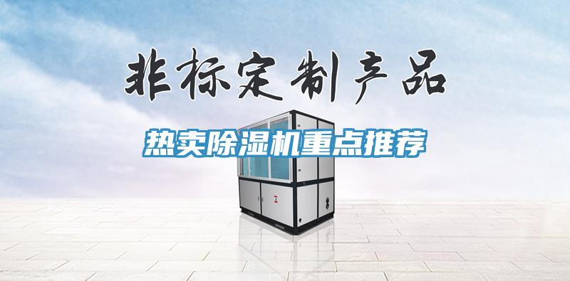 热卖猫咪成人官网重点推荐