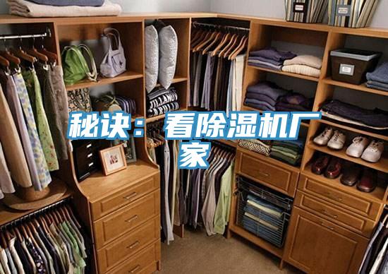 秘诀：看猫咪成人官网厂家