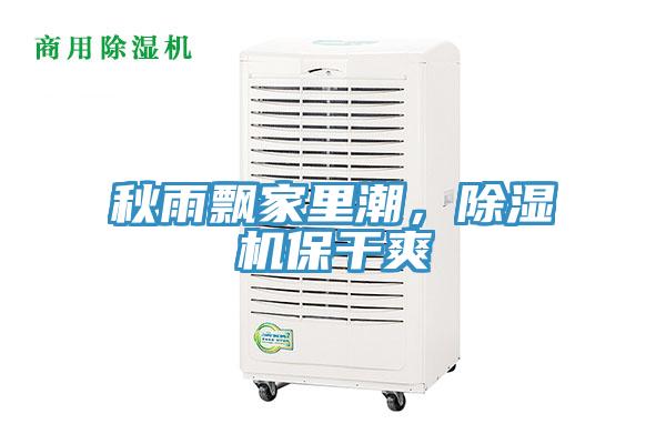 秋雨飘家里潮，猫咪成人官网保干爽