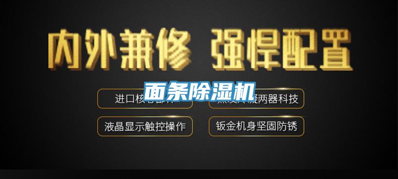 面条猫咪成人官网