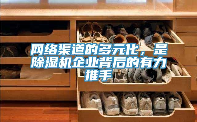 网络渠道的多元化，是猫咪成人官网企业背后的有力推手