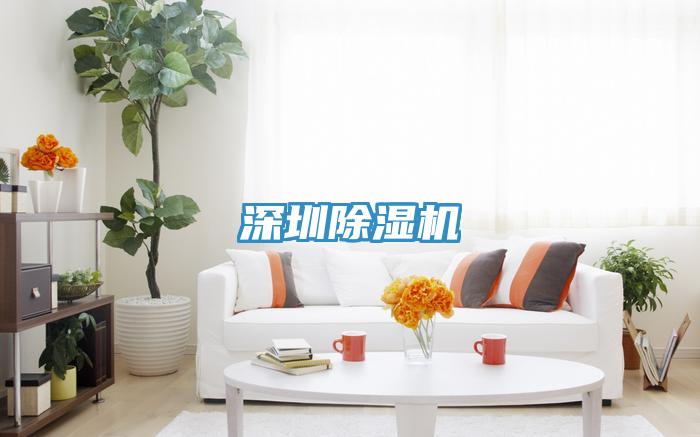 深圳猫咪成人官网