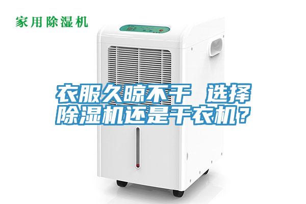 衣服久晾不干 选择猫咪成人官网还是干衣机？
