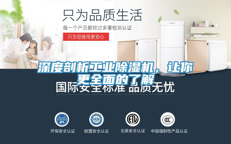 深度剖析工业猫咪成人官网，让你更全面的了解