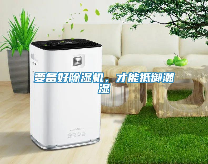 要备好猫咪成人官网，才能抵御潮湿