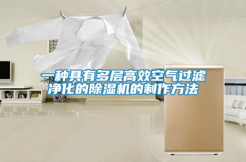 一种具有多层高效空气过滤净化的猫咪成人官网的制作方法